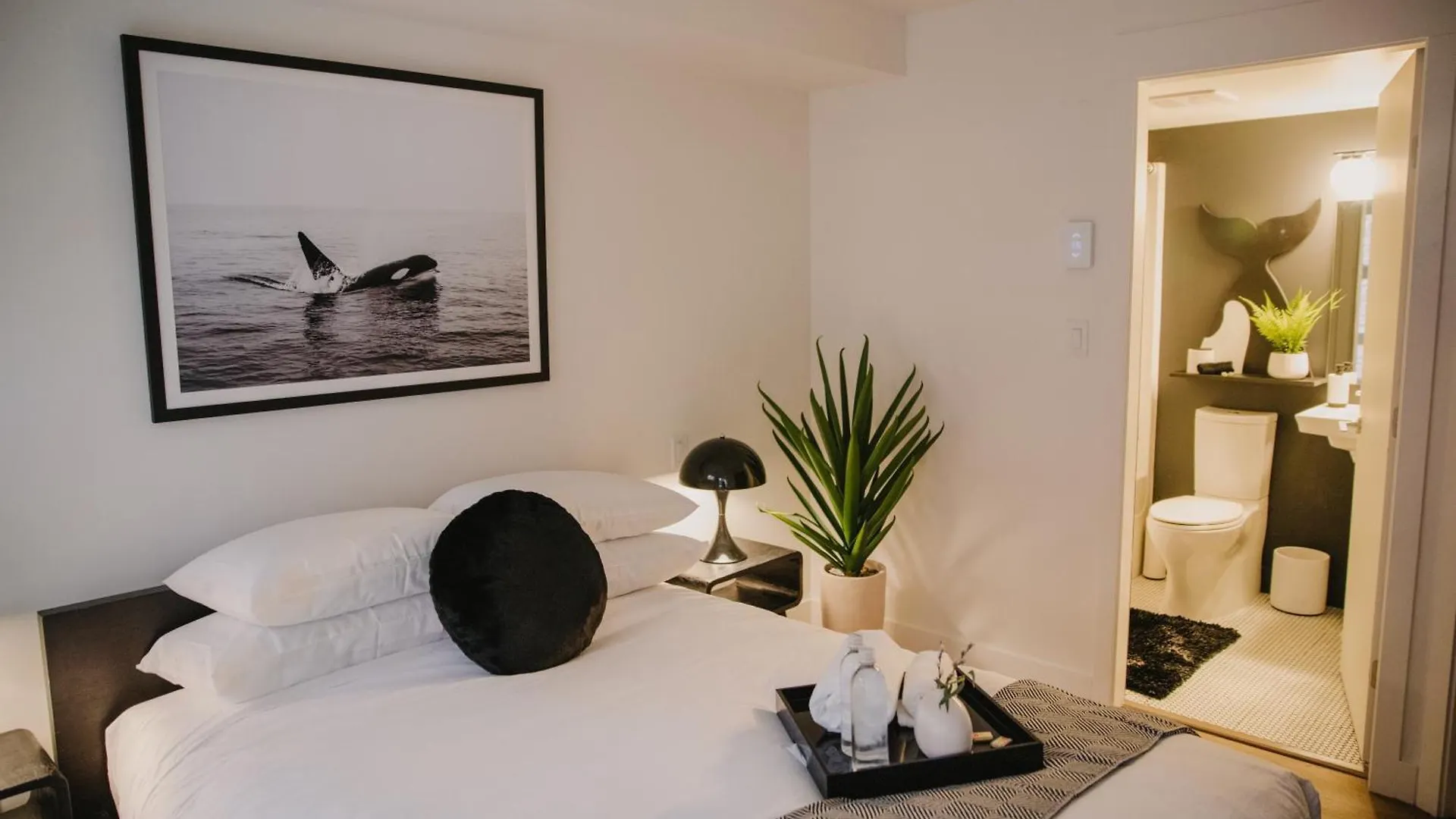 The Orca Pad At Waddigton Flats Apartment Victoria Canada