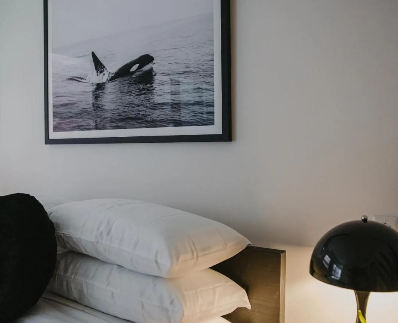 The Orca Pad At Waddigton Flats Apartment Victoria