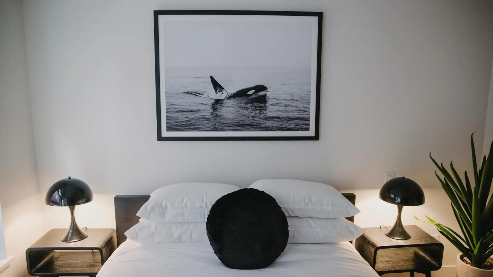 The Orca Pad At Waddigton Flats Apartment Victoria